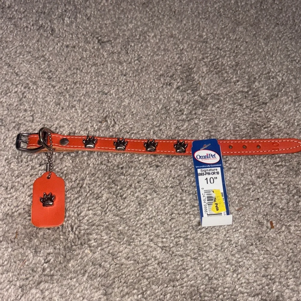 New Orange Dog Collar with Paw Charms leather size 10 inches